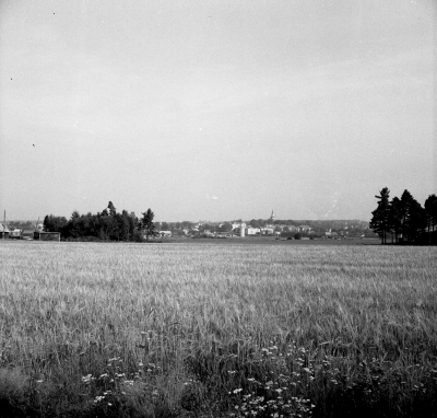 Vy över Vimmerby sett från maderna

Dok.110527/KG