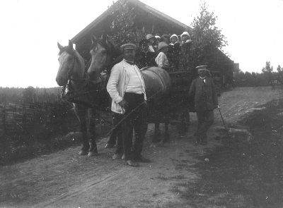 "Lövad höskrinda med Gulingarna"  Nordströms