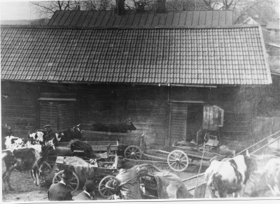 Storgatan 1920, Adolfsborg. Lillkampen. Området tillhör nu Källängsparken.  T.E.
