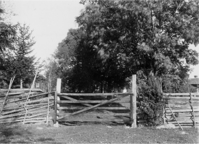 Anneberg, Svartnö, här syns alla husen, ingång från Byvägen.
25/9 38

Dok.090629/SJ