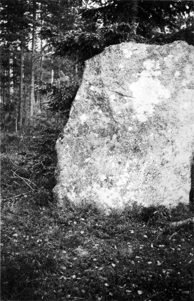 Forngravarne
Stenhäll vid vägen till Nävstad ? Södra Vi ( Näfstad )