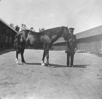 Kusken Robert Nestor      Nordströms     På stallbacken. Till vänster ligger stallängan  Till höger ligger längan med vagnbodar    Okänd