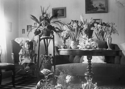 Elsa Blomberg bland blommorna 
Troligen har Beda Forsell fyllt jämna år
Storgatan 5