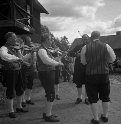 Spelmansstämma i Linneryd

Dok.110224/KG