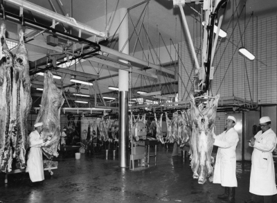 Fr. v. Elis J, Kurt Schill, klassificerad Sven  Vimmerby     Slakthuset. 