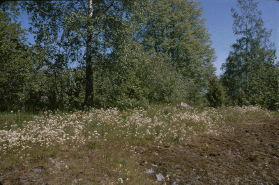 Slättfall 

090402/KG