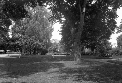 Kyrkparken



