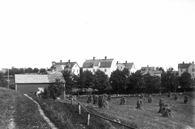 Första huset från vänster, Tidmanska och andra huset Solliden 
Fotot är taget från Marknadsplan
