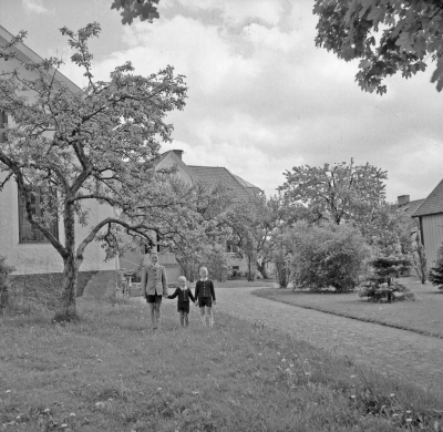 Elon Waerns familj
- Ludvigsborg -

Dok.111103/KG