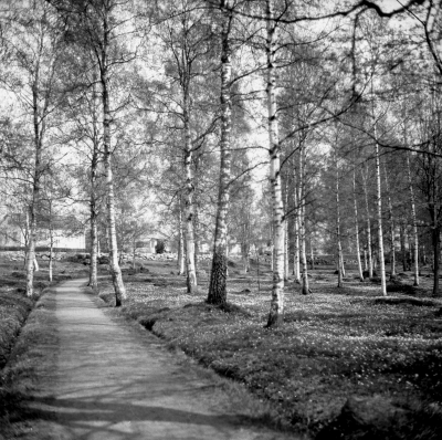 Gästgivarehagen

Dok.110614/KG