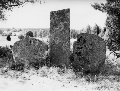 Gränsen mellan Tuna, Vena och Vimmerby socken. Bautatenar 
resta stenar 