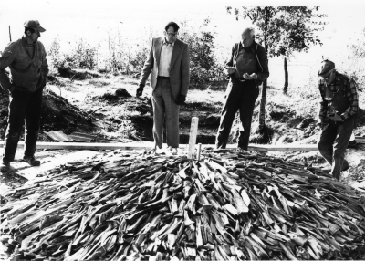 Tjärbränning vid Vagelhem Gullringen
september 1983