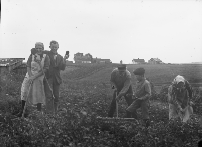 Anna Flender  Knut Lindberg  Oskar Lindberg  okänd  Lovisa Lindberg  Hermansborg Vimmerby               U.F.

Potatisplockning