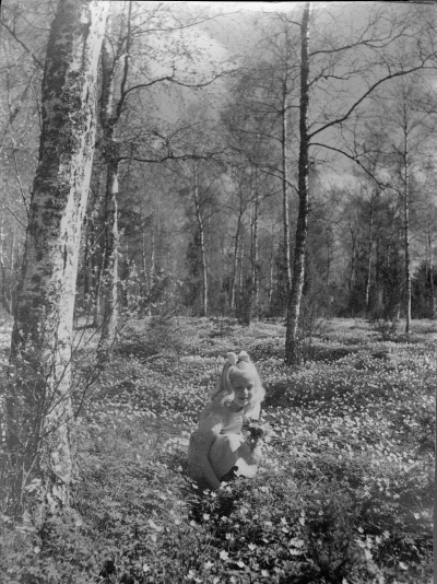 troligen Gästgivarehagen