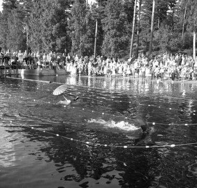 Nossenbadet simskoleavslutning

Dok.110208/KG