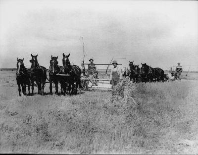"Kungen av Ludlovs" kort, utvandrade tilll Amerika, bördig från Tuna.  