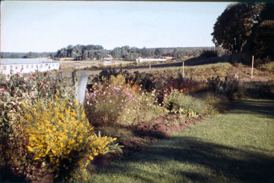 Stora odlingar mellan Rönnbärsgatan och kyrkogården innan Västra Tullportsgatan kom till. Gatan är utmarkerad med träpinnar