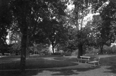 Kyrkparken 




