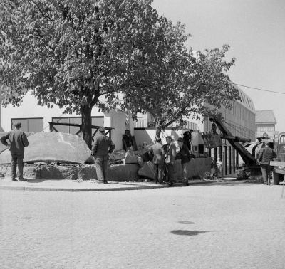 Sevedegatan

Dok.110520/KG