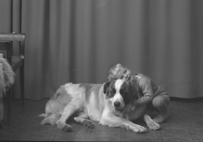 Dunge  (gosse hund)
Åbro   

Dok.080710/RS