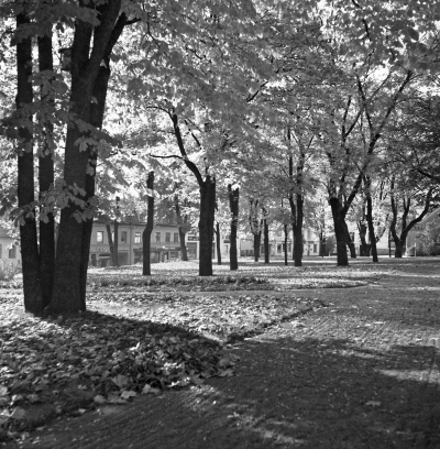 Kyrkparken 

Dok.110511/KG

Kyrkparken i V-by 1948. Storgatan i bakgrunden    T.E.