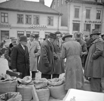 Torget
Rudells
Mjölkbar

Dok.111103/KG