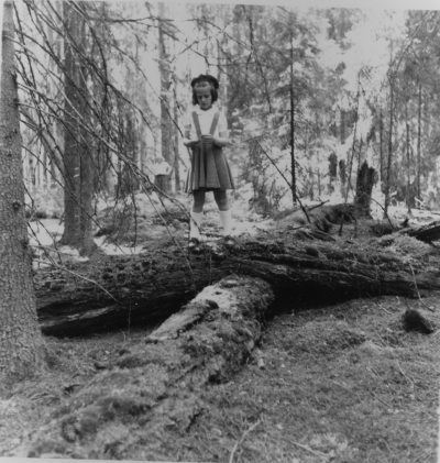 Norra Kvills nationalpark Rumskulla 