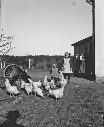 Barnen Olle o Vivan Nordén,
Fågelhem Trekanten    U.F.