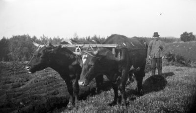 Adrian Kristiansson, Södra Kvill Rumskulla.