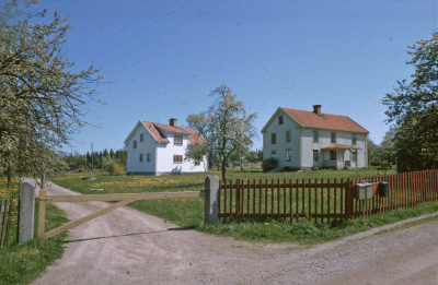 Hus blommande träd 

090525/KG