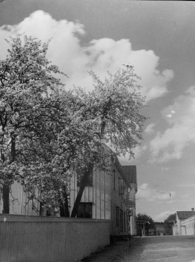 "Kyrkogårdsgatan,  fru Stina Palmgrens damfrisering."
Thorvald Eriksson 