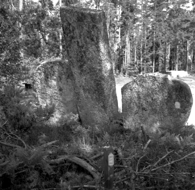 Gryssebo
Bautastenarna vid Borstena

Dok.110613/KG