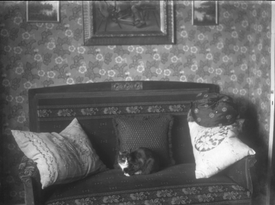 Kamrer Jonssons, katt
Göteborgs Bank



Dok.080711/RS