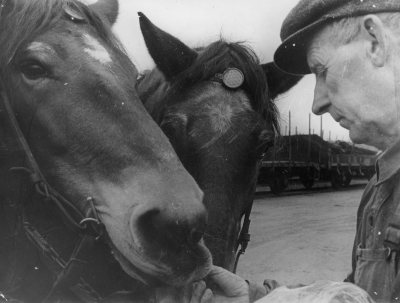 Helmer Claesson sista häståkare i Vimmerby (Hilmer Classon) verksam till oktober 1969