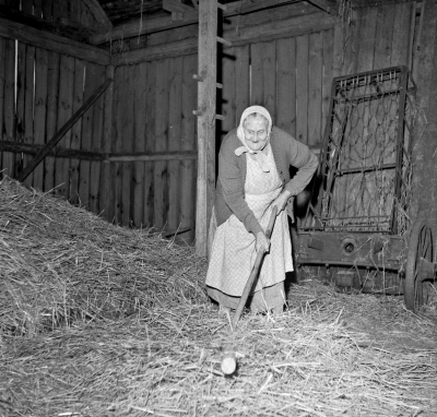 Selma Fransson tröskning med slaga

Dok.110524/KG