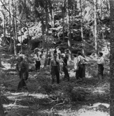 Norra Kvills nationalpark Rumskulla