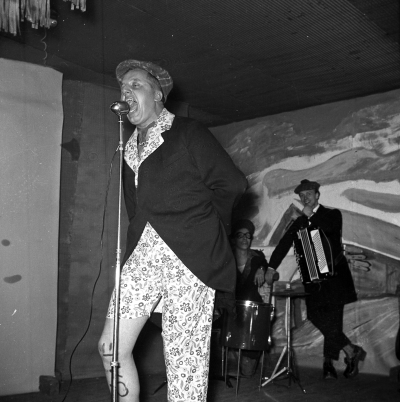 Frödingerevyn

Dok.110530/KG