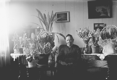 En dam som fyller år. Beda Forsell, Storgatan 5, fyller 75 år år 1919.