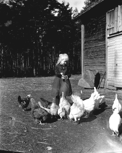 Vivan Brännlund f Nordén  Fågelhem Trekanten V-by           U.F.