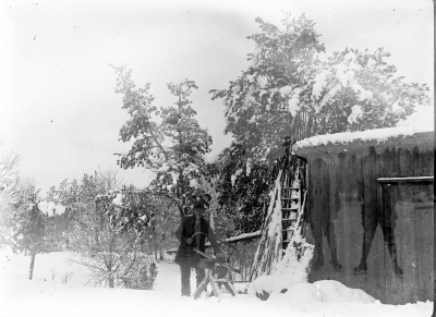 Vedsågning 

( dubbelexponerat )