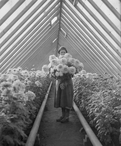 Hällebacka 

Många av bilderna i mappen Hällebacka kan lika gärna vara tagna kring Lidhem Locknevi.