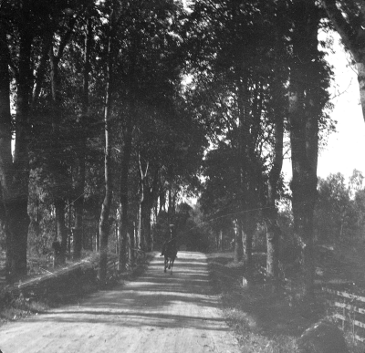 "Full galopp i alle´n"   Nordströms