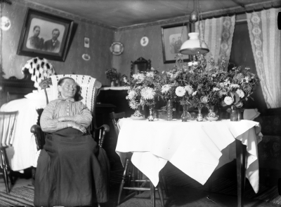 Lovisa Lindberg 1855-1939  Hermansborg Vimmerby        U.F.