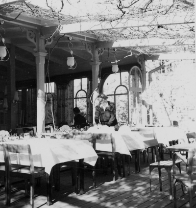 Hotellträdgården.   T.E.