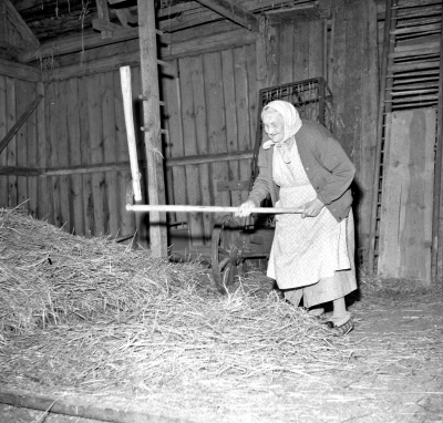 Selma Fransson tröskning med slaga

Dok.110524/KG