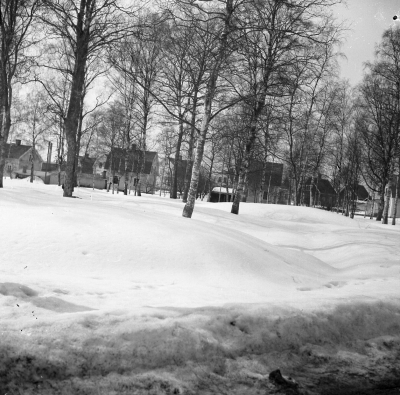 Vinterbild från Gästgivarehagen

Dok.110614/KG