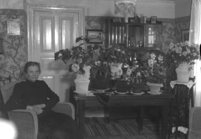 Fru Fransson



Dok.080630/RS