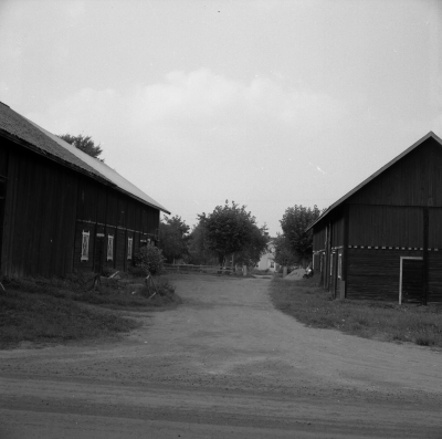 Djursdala

Dok.110524/KG