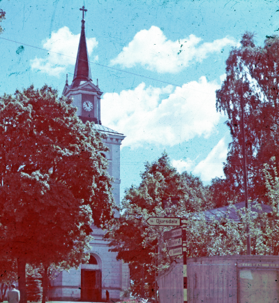 Vimmerby kyrka träd

090421/KG