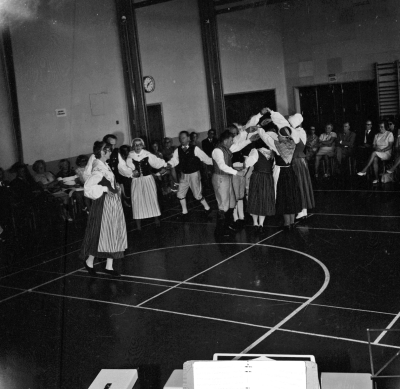 Folkdans 
Danskarna i Vimmerby

Dok.110526/KG